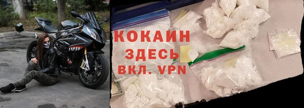 стафф Дмитров