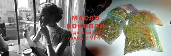 тгк Дмитриев