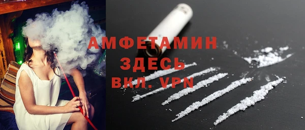 тгк Дмитриев