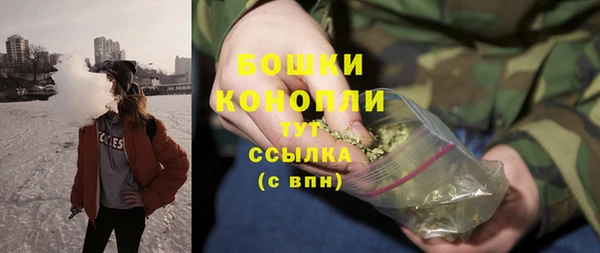 тгк Дмитриев