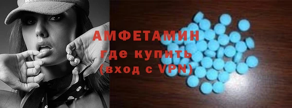 тгк Дмитриев