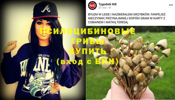 ГАЛЛЮЦИНОГЕННЫЕ ГРИБЫ Дмитровск