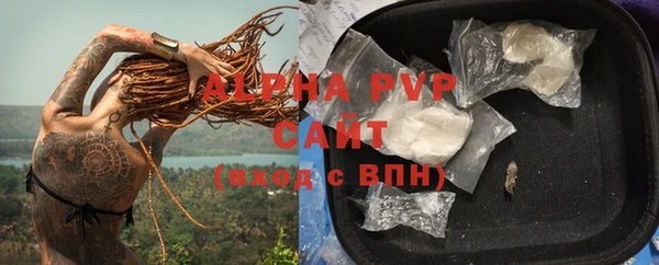 тгк Дмитриев