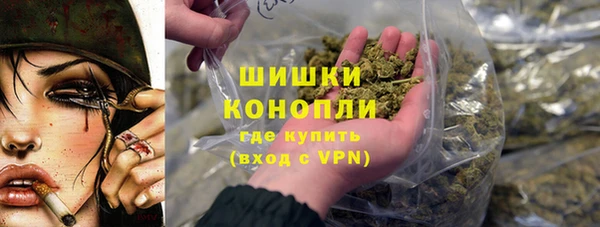 тгк Дмитриев