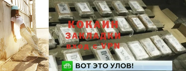 тгк Дмитриев